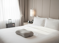 Hotel-Level Sleep Anywhere